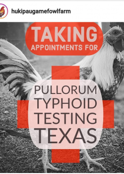 PT Testing in TX!