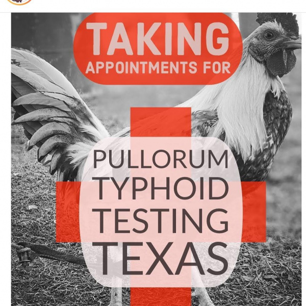 PT Testing in TX!